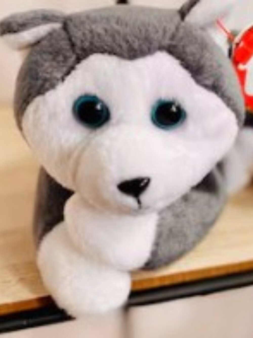 Beanie Baby - Nanook
